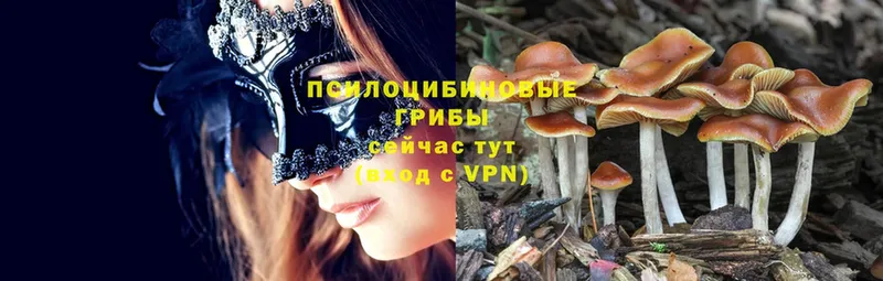 Псилоцибиновые грибы MAGIC MUSHROOMS  Каргополь 